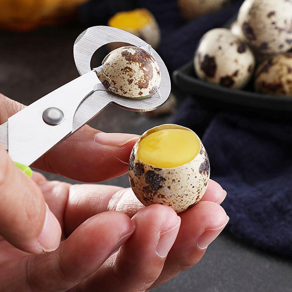 Taube Wachtel Offene Riss Klei – Egg Separator Tool Bewertung und Preis